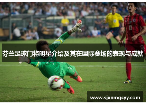 芬兰足球门将明星介绍及其在国际赛场的表现与成就