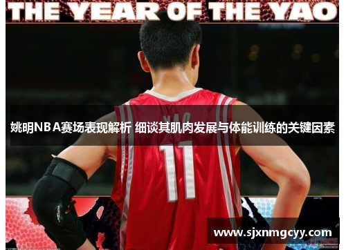 姚明NBA赛场表现解析 细谈其肌肉发展与体能训练的关键因素