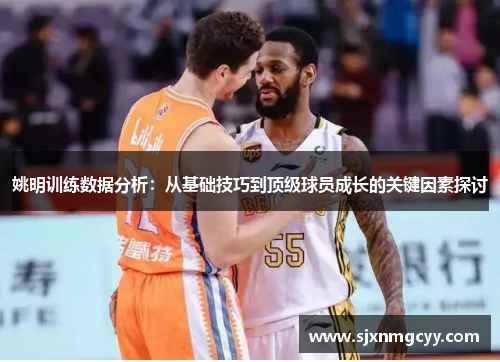 姚明训练数据分析：从基础技巧到顶级球员成长的关键因素探讨