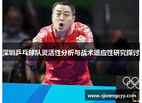 深圳乒乓球队灵活性分析与战术适应性研究探讨